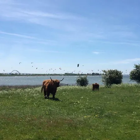 Zur Muehle Lemkenhafen Auf *