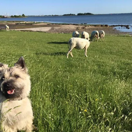 Zur Muehle Lemkenhafen Auf * Фемарн