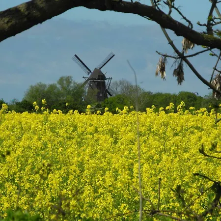 アパート Zur Muehle Lemkenhafen Auf